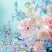 ヒメ日記 2025/10/11 06:23 投稿 リリア ミセスコレクション