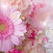 ヒメ日記 2025/10/14 06:05 投稿 リリア ミセスコレクション