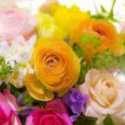 ヒメ日記 2025/10/16 05:43 投稿 リリア ミセスコレクション