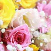 ヒメ日記 2025/10/16 05:46 投稿 リリア ミセスコレクション