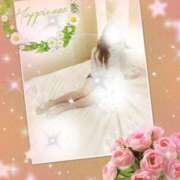 ヒメ日記 2025/10/20 10:03 投稿 リリア ミセスコレクション