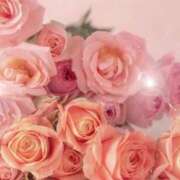 ヒメ日記 2025/10/21 05:53 投稿 リリア ミセスコレクション