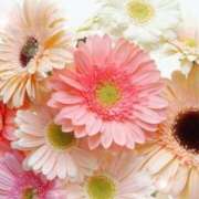 ヒメ日記 2025/10/22 05:53 投稿 リリア ミセスコレクション