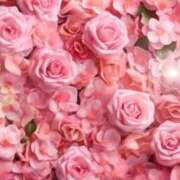 ヒメ日記 2025/10/25 06:03 投稿 リリア ミセスコレクション