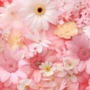 ヒメ日記 2025/10/25 06:05 投稿 リリア ミセスコレクション