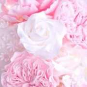 ヒメ日記 2025/10/26 05:13 投稿 リリア ミセスコレクション