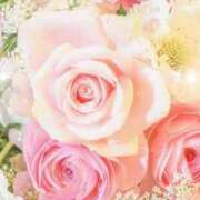 ヒメ日記 2025/10/28 05:55 投稿 リリア ミセスコレクション