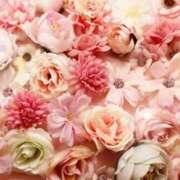 ヒメ日記 2025/10/29 05:55 投稿 リリア ミセスコレクション