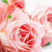 ヒメ日記 2025/10/30 05:45 投稿 リリア ミセスコレクション