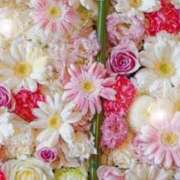 ヒメ日記 2025/11/02 06:15 投稿 リリア ミセスコレクション