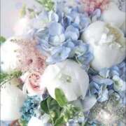 ヒメ日記 2025/11/03 06:03 投稿 リリア ミセスコレクション