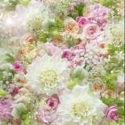 ヒメ日記 2025/11/05 05:53 投稿 リリア ミセスコレクション