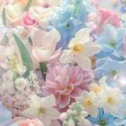 ヒメ日記 2025/11/05 05:55 投稿 リリア ミセスコレクション