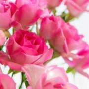 ヒメ日記 2025/11/06 05:45 投稿 リリア ミセスコレクション