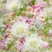 ヒメ日記 2025/11/08 06:05 投稿 リリア ミセスコレクション