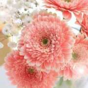 ヒメ日記 2025/11/09 06:03 投稿 リリア ミセスコレクション