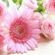 ヒメ日記 2025/11/09 06:05 投稿 リリア ミセスコレクション