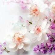 ヒメ日記 2025/11/12 05:53 投稿 リリア ミセスコレクション