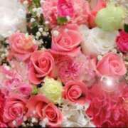 ヒメ日記 2025/11/14 05:53 投稿 リリア ミセスコレクション