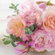 ヒメ日記 2025/11/15 06:13 投稿 リリア ミセスコレクション