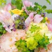 ヒメ日記 2025/11/22 06:03 投稿 リリア ミセスコレクション