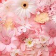 ヒメ日記 2025/11/24 06:15 投稿 リリア ミセスコレクション