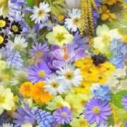 ヒメ日記 2025/11/25 06:15 投稿 リリア ミセスコレクション