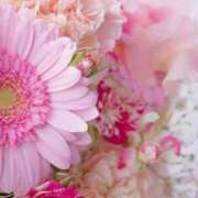 ヒメ日記 2025/11/26 06:03 投稿 リリア ミセスコレクション