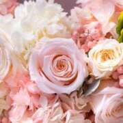 ヒメ日記 2025/11/27 06:23 投稿 リリア ミセスコレクション