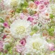 ヒメ日記 2025/11/27 06:43 投稿 リリア ミセスコレクション