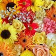 ヒメ日記 2025/11/29 06:13 投稿 リリア ミセスコレクション