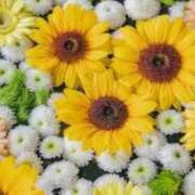 ヒメ日記 2025/11/29 06:15 投稿 リリア ミセスコレクション