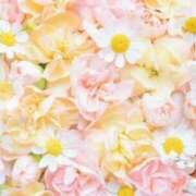 ヒメ日記 2025/12/01 06:13 投稿 リリア ミセスコレクション