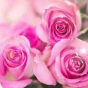 ヒメ日記 2025/12/03 06:05 投稿 リリア ミセスコレクション