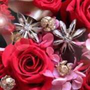 ヒメ日記 2025/12/05 06:13 投稿 リリア ミセスコレクション