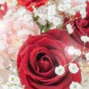 ヒメ日記 2025/12/05 06:15 投稿 リリア ミセスコレクション