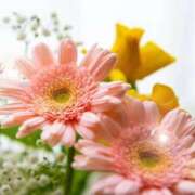 ヒメ日記 2025/12/06 06:16 投稿 リリア ミセスコレクション