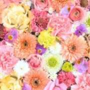 ヒメ日記 2025/12/11 06:13 投稿 リリア ミセスコレクション