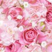 ヒメ日記 2025/12/14 06:13 投稿 リリア ミセスコレクション