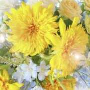 リリア ✨💖🎀描く景色に幸せを🩷✨🎀 ミセスコレクション