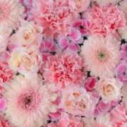 ヒメ日記 2025/12/16 06:13 投稿 リリア ミセスコレクション