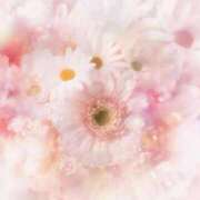 ヒメ日記 2025/12/19 06:23 投稿 リリア ミセスコレクション