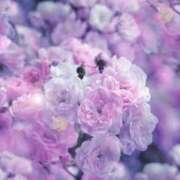 ヒメ日記 2025/12/22 06:13 投稿 リリア ミセスコレクション