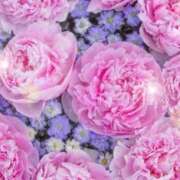 ヒメ日記 2025/12/23 06:03 投稿 リリア ミセスコレクション