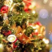 ヒメ日記 2025/12/25 06:13 投稿 リリア ミセスコレクション