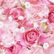 ヒメ日記 2025/12/26 06:33 投稿 リリア ミセスコレクション