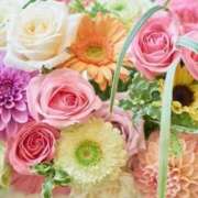 ヒメ日記 2025/12/27 06:23 投稿 リリア ミセスコレクション