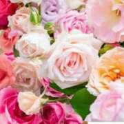 ヒメ日記 2025/12/28 06:23 投稿 リリア ミセスコレクション