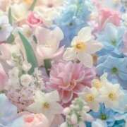 ヒメ日記 2025/12/28 06:25 投稿 リリア ミセスコレクション