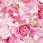 ヒメ日記 2025/12/31 06:23 投稿 リリア ミセスコレクション